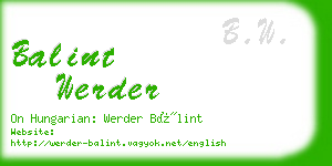 balint werder business card